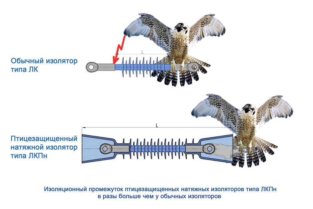Сравнение ЛКПн и ЛК